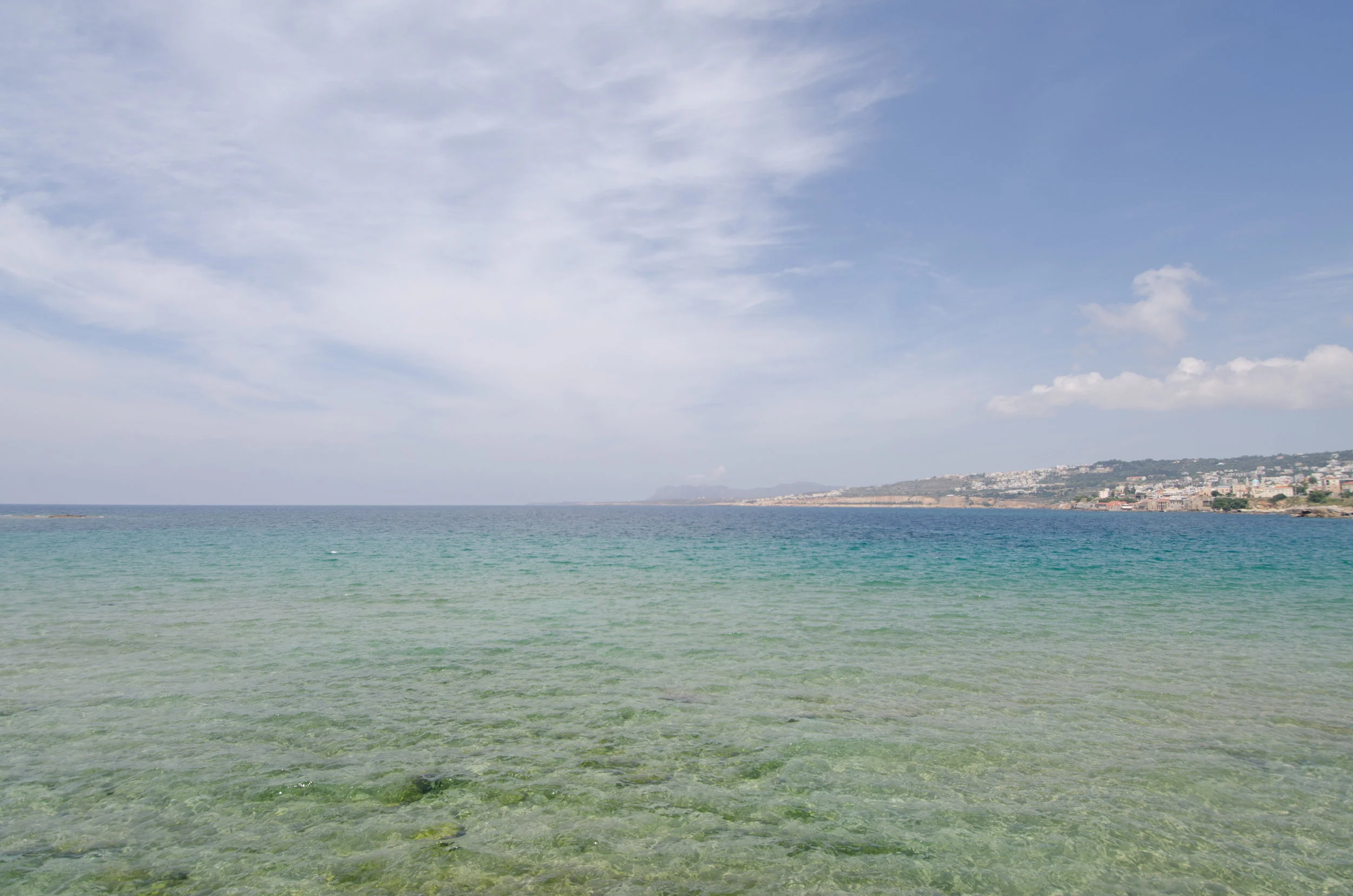 _DSC4294.jpg