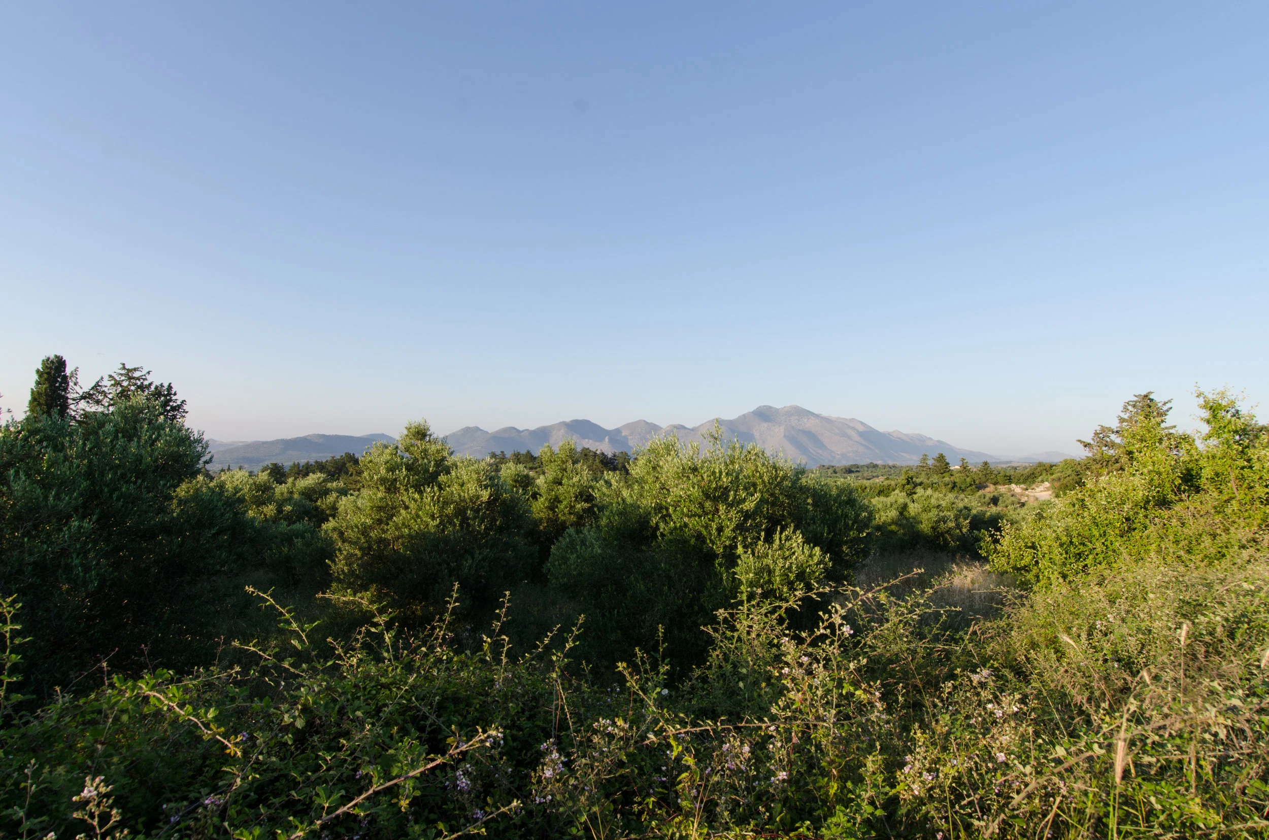 _DSC3783.jpg