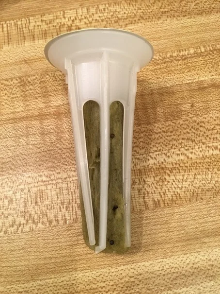 AeroGarden Pod with RockWool