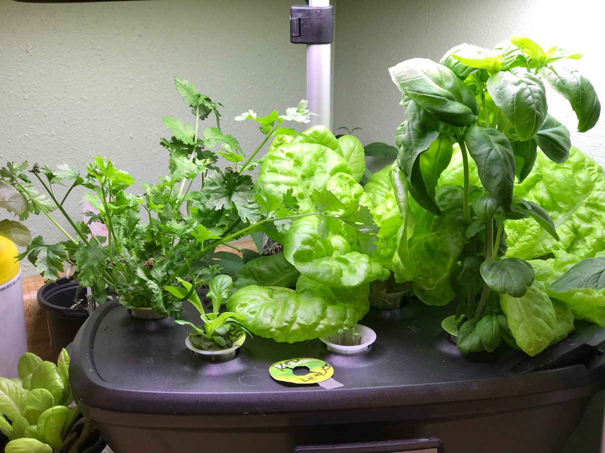 Aerogarden