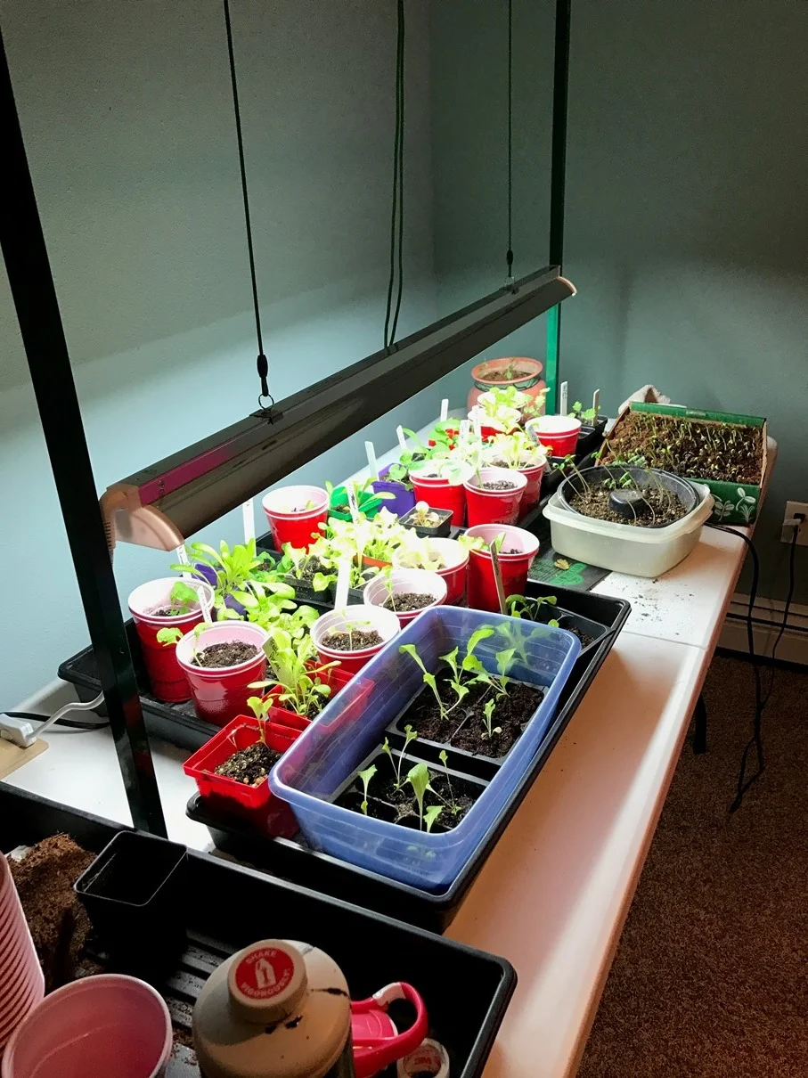 Growing light and mat