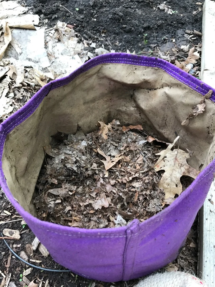 Grow Bag