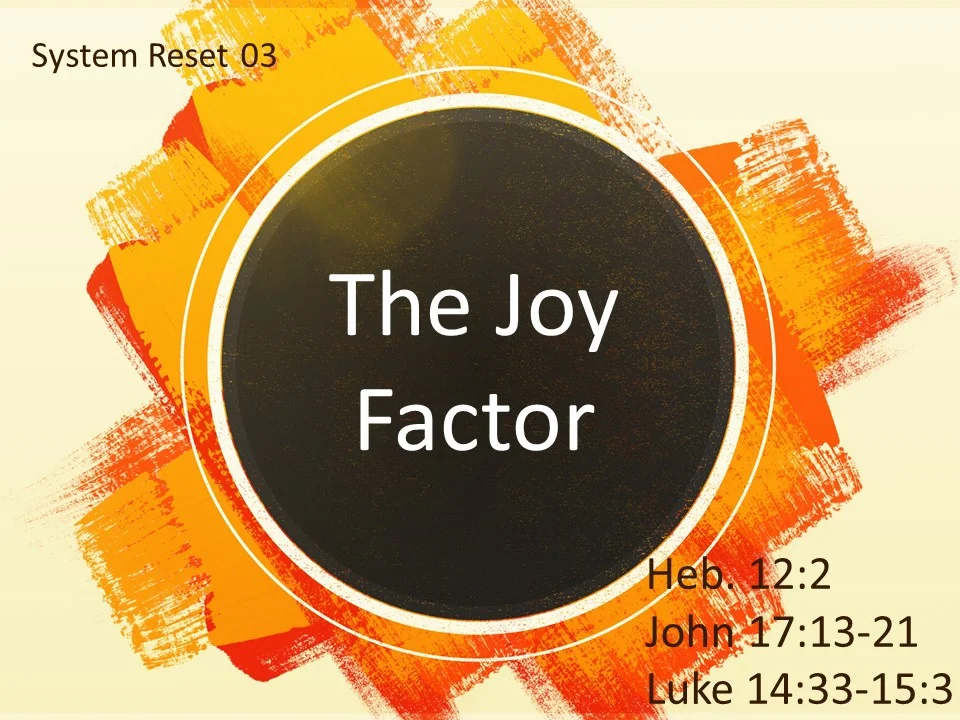 System Reset Series 03 The Joy Factor   Darvie Fenison