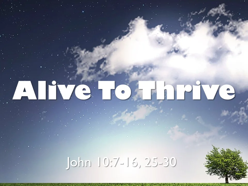 Thrive Series #1 - Alive To Thrive Jn 10