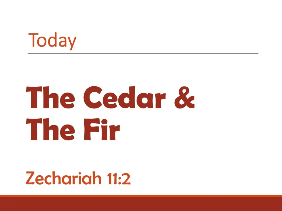 Powerful Stories #3 - The Cedar & the Fir