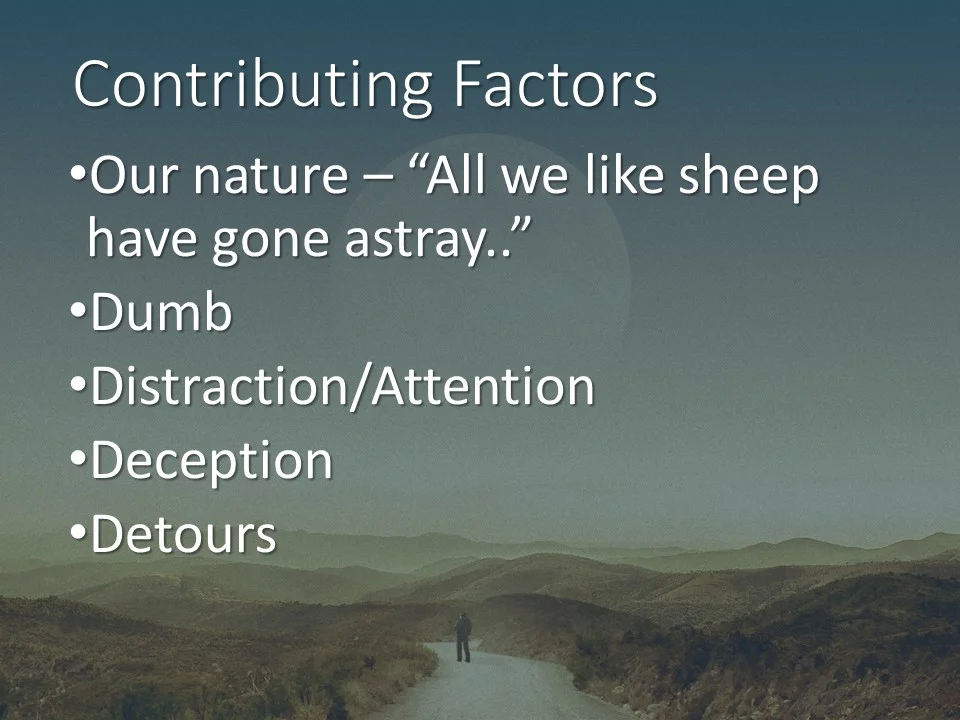 Slide11.JPG