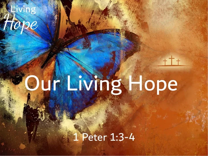 Living Hope #4 - Our Living Hope! Easter 2018
