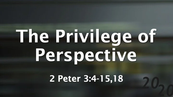 2020 #7 - The Privilege Of Perspective