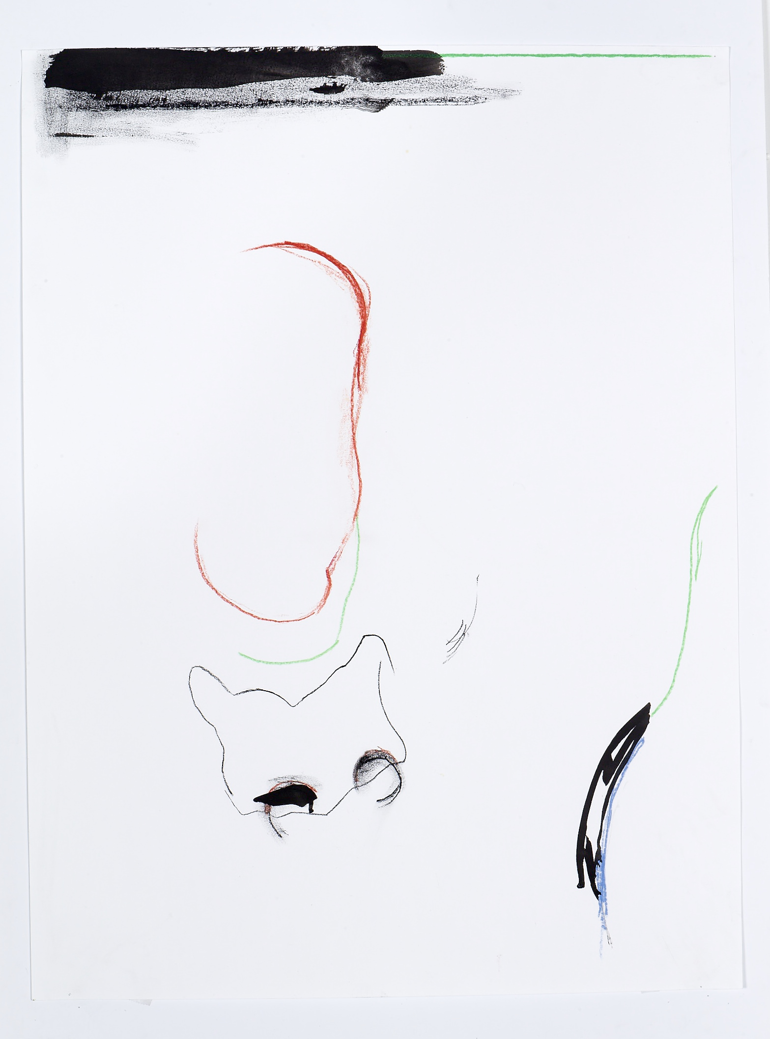 "C-11" - Graphite, wax pastel, ink on paper 18" x 24" 2015