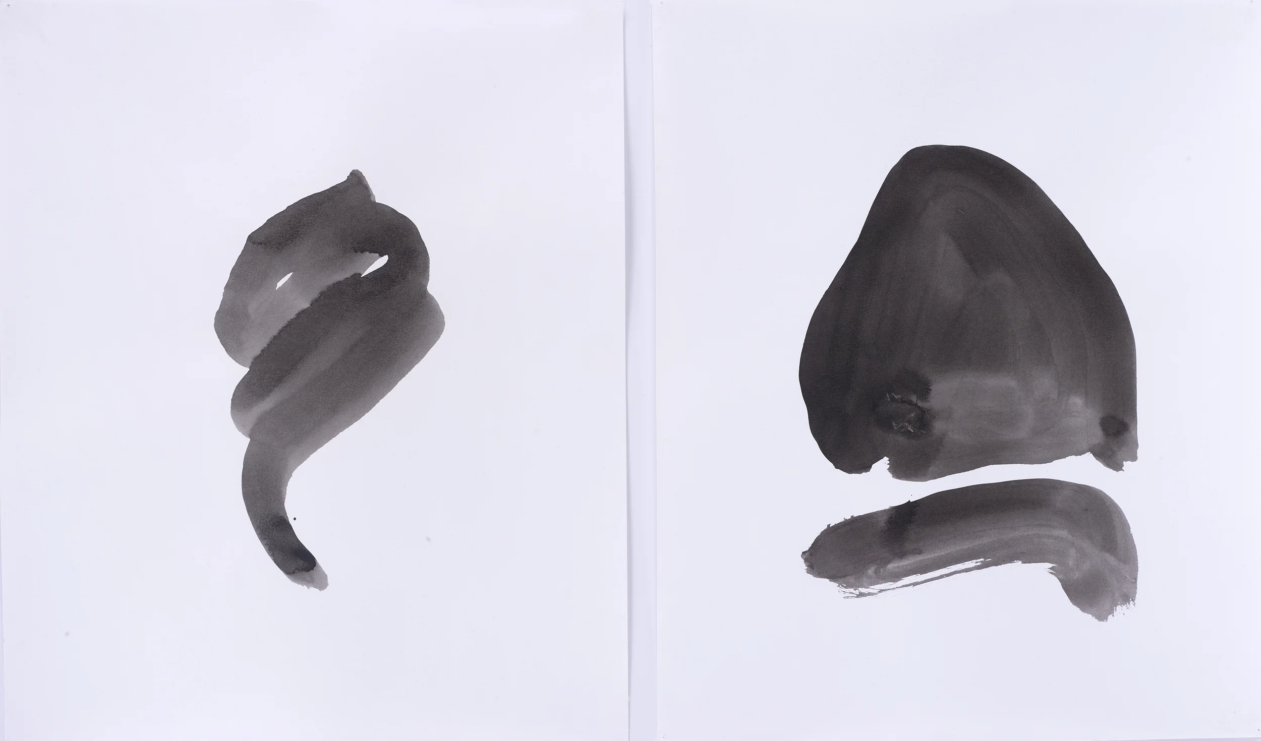 W 1.jpg