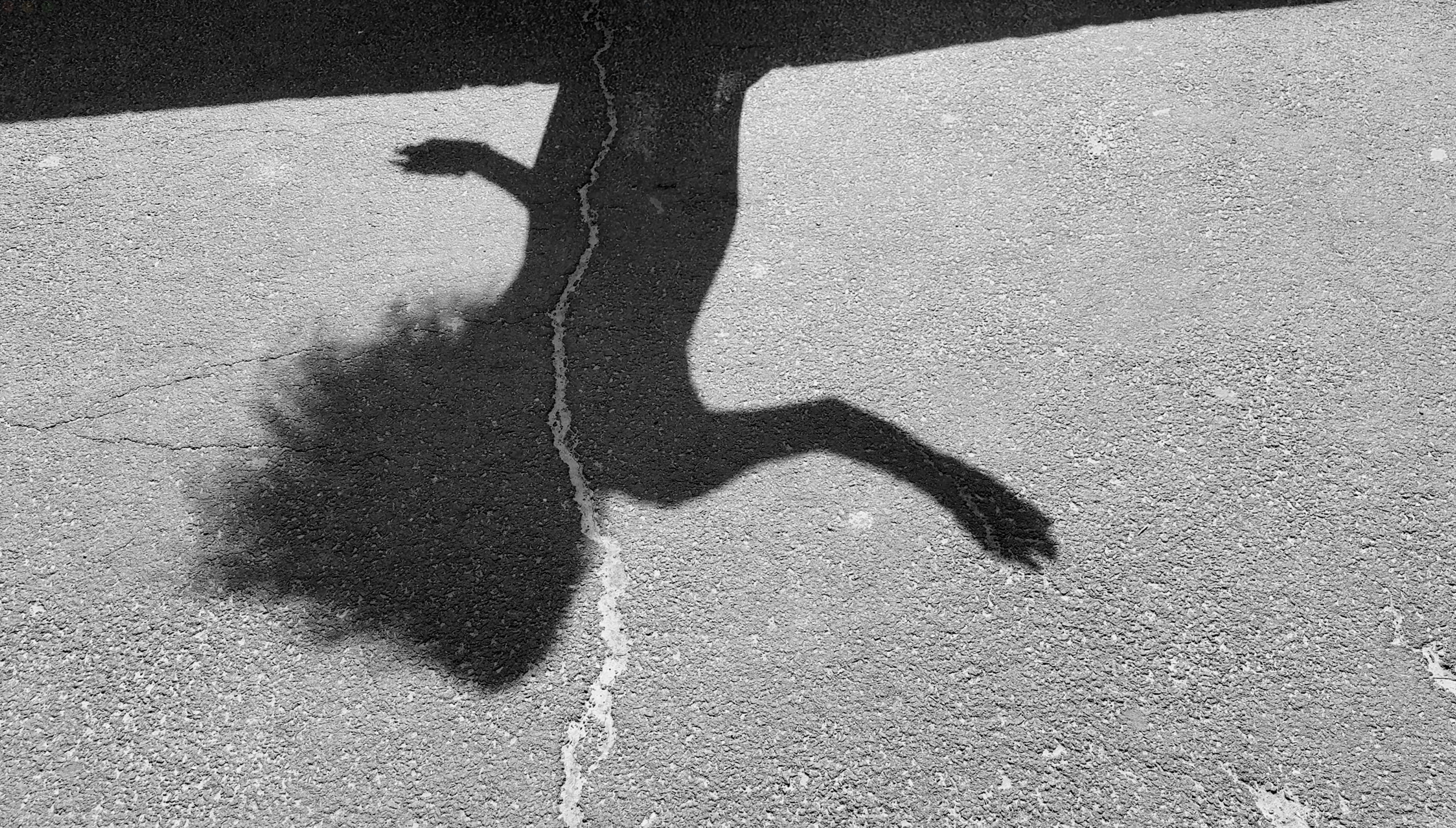 Screenshot 2025-05-15 at 9.26.58 AM.png