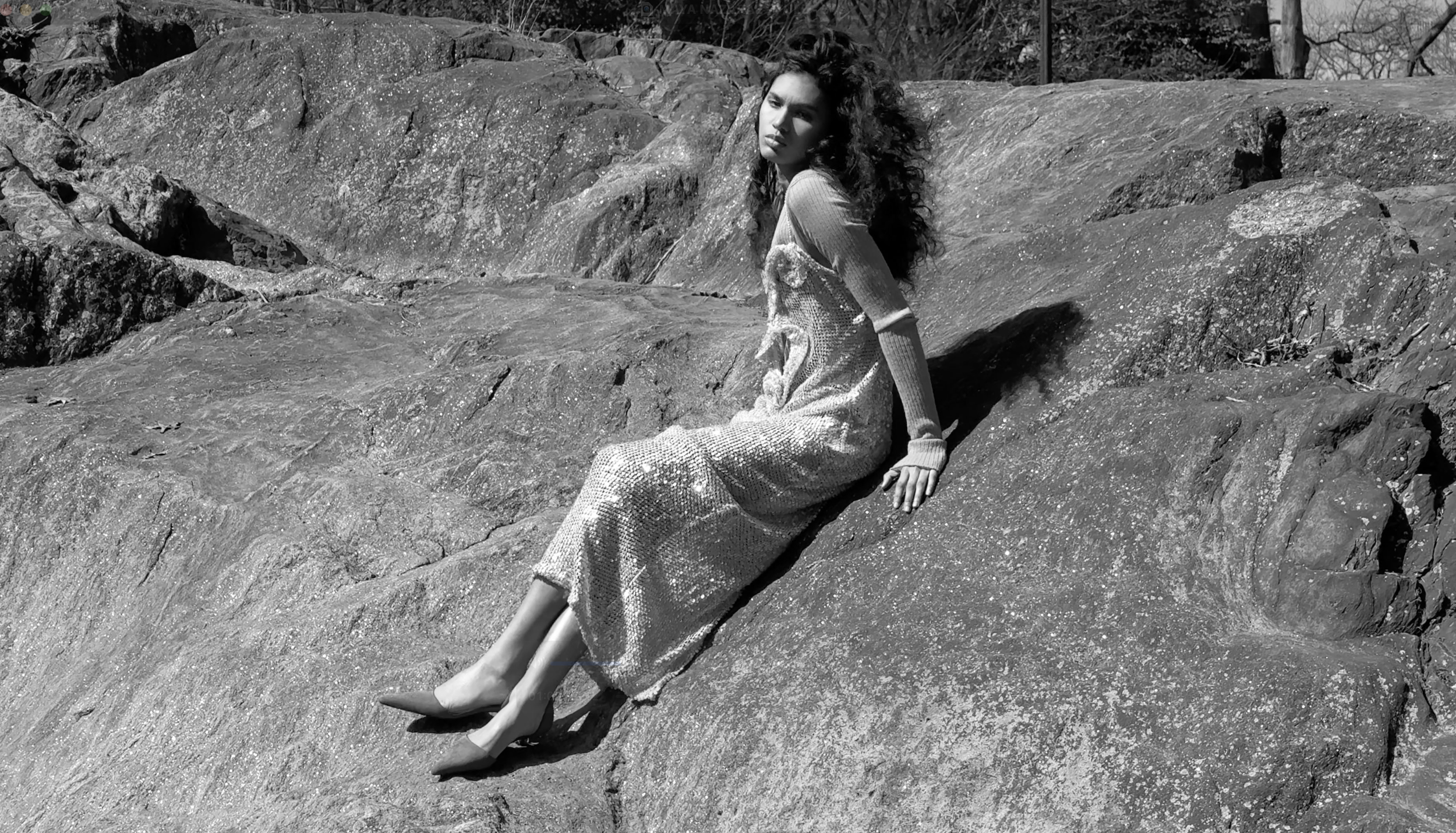 Screenshot 2025-05-15 at 9.28.34 AM.png