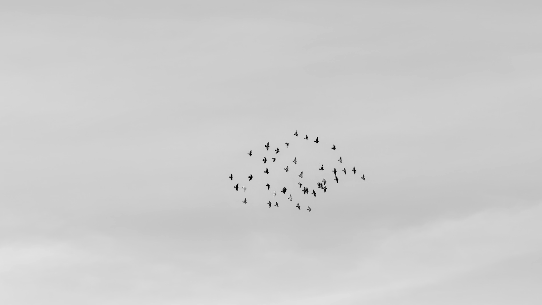 Screenshot 2025-05-15 at 9.23.18 AM.png