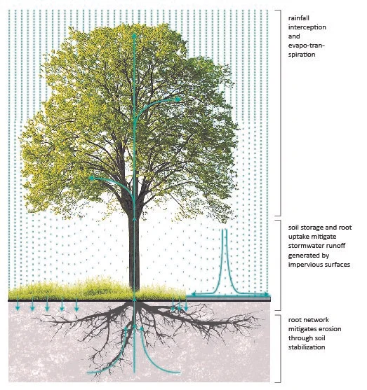 stormwater management.jpg