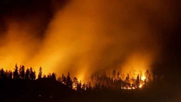 Wildfire Management
