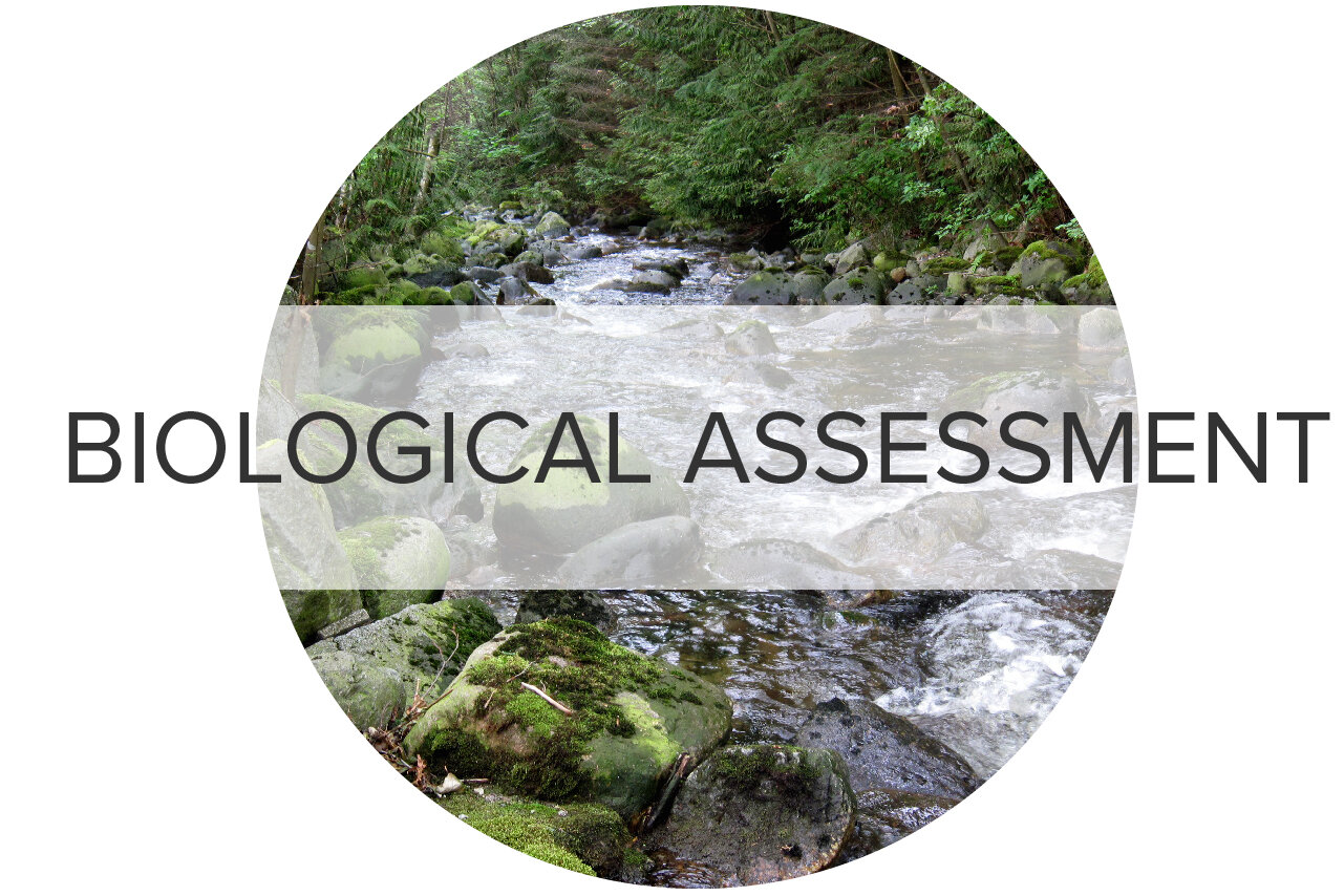Environmental assessments for projects affecting natural areas in urban areas