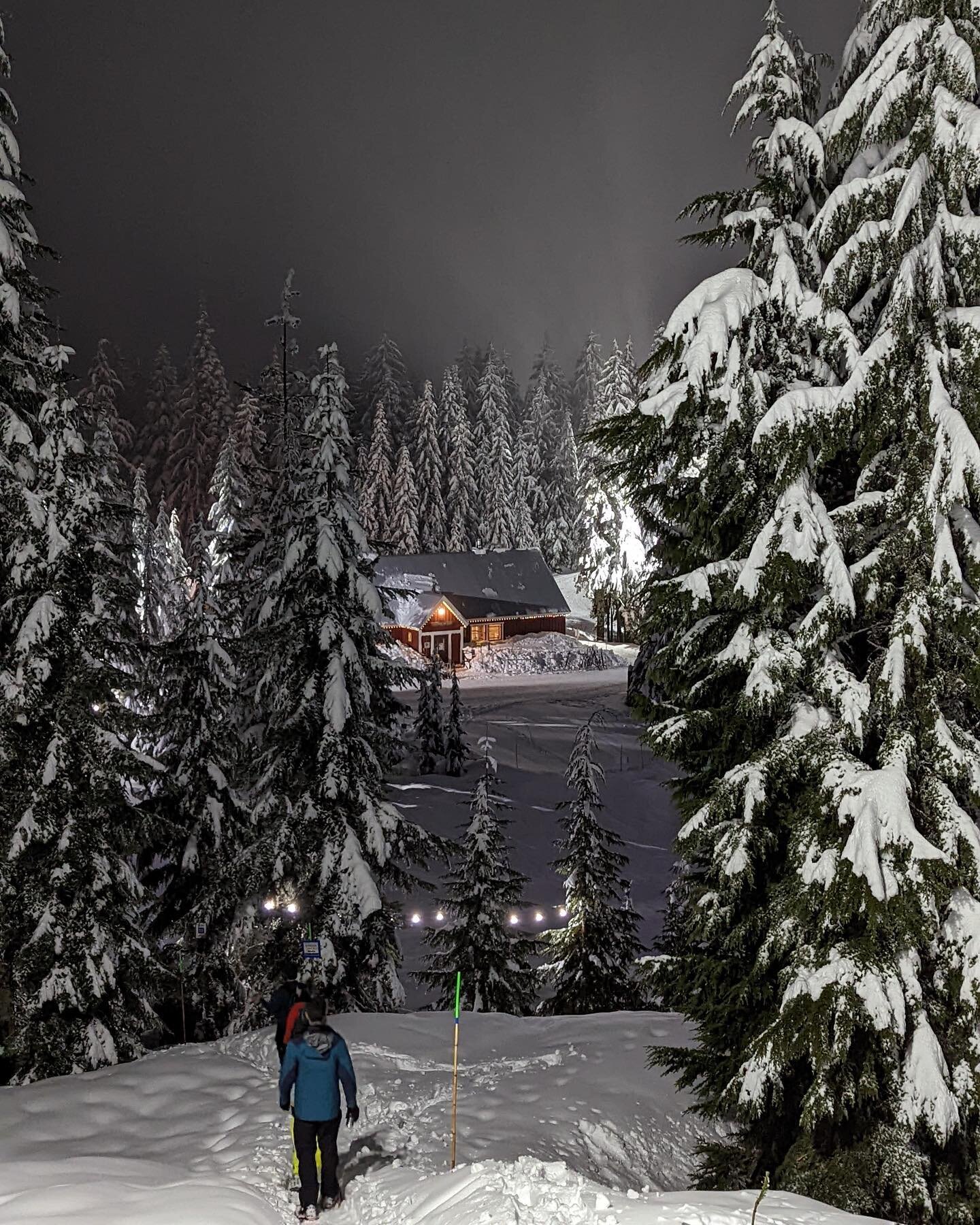 DHC Winter Sports Club!! Super fun snowshoe adventure ❄️❄️ @cypressmtn #dhcteam #nordicadventure #wintersportsclub #snoeshoe