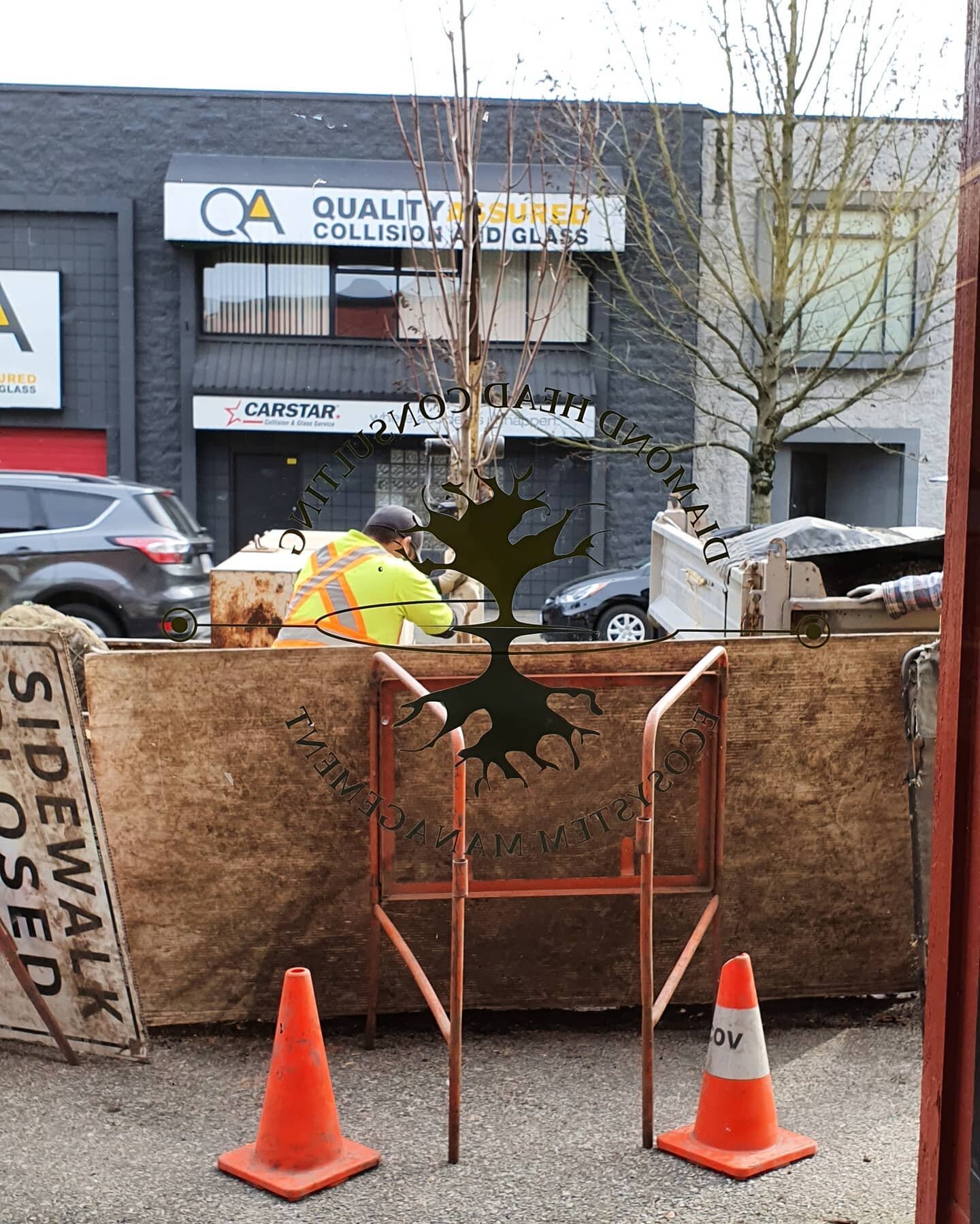 🌳 New Tree! 🌳
.
A Bowhall Red Maple was planted in front of our office in East Van this very morning!
.
#tree #vancouver #planting #sustainable #vancity #green #leaf #city #igdaily #urbanforestry #urban #new