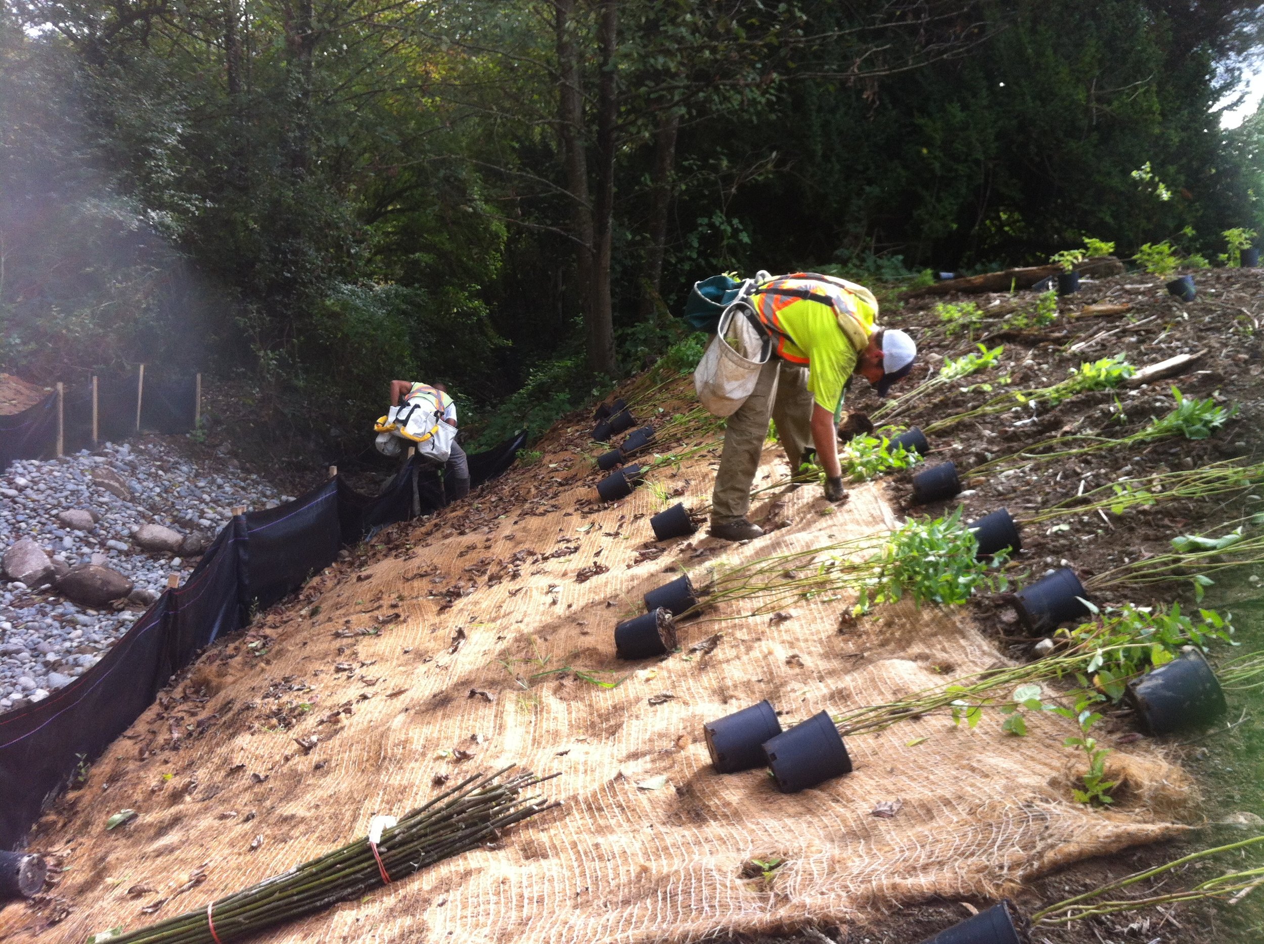 Ecosystem Restoration Team