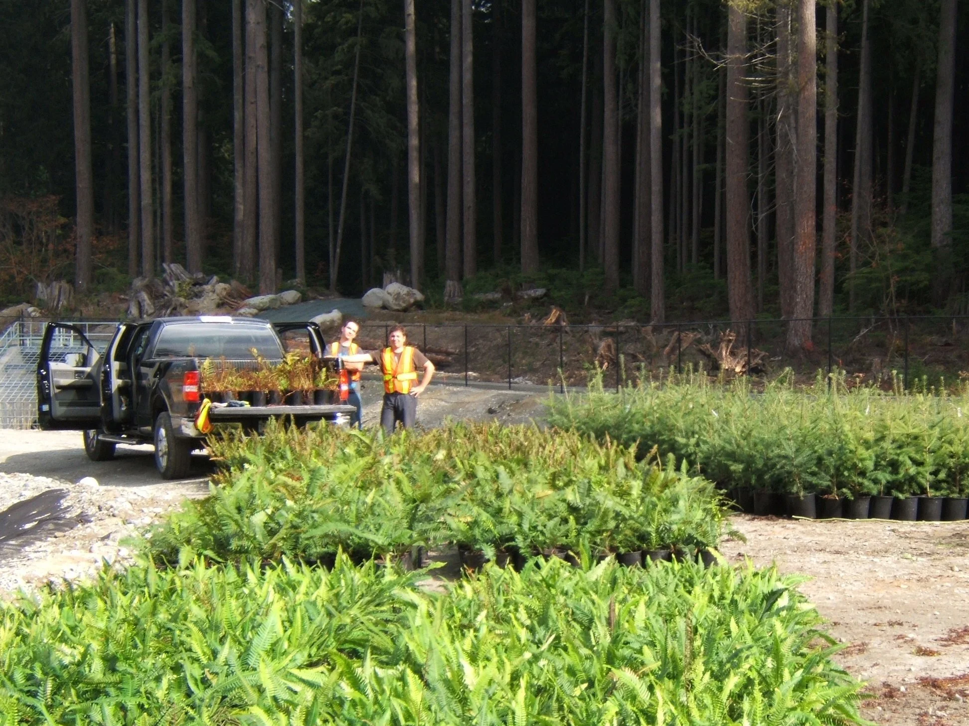 Invasive Species Specialist Team