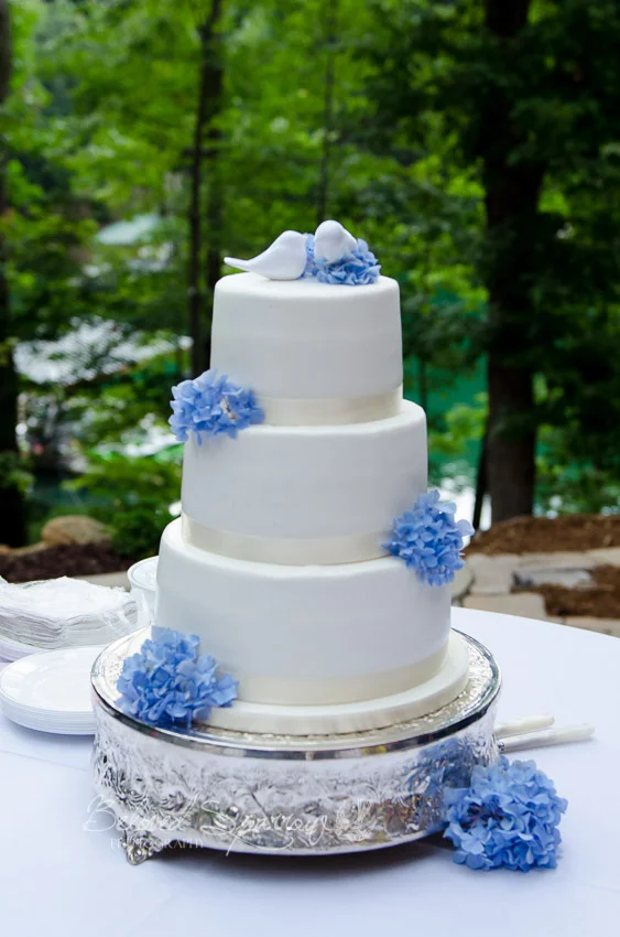 south atlanta wedding phtographer