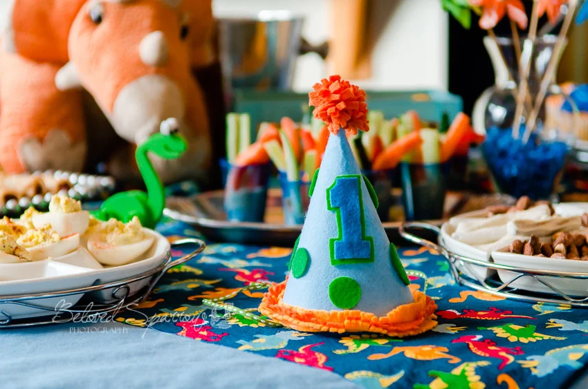 First Birthday Celebration {Atlanta, Georgia Event Photographer}