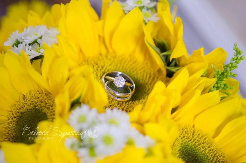 Lauren & Jamie {Atlanta, Georgia Wedding Photographer}