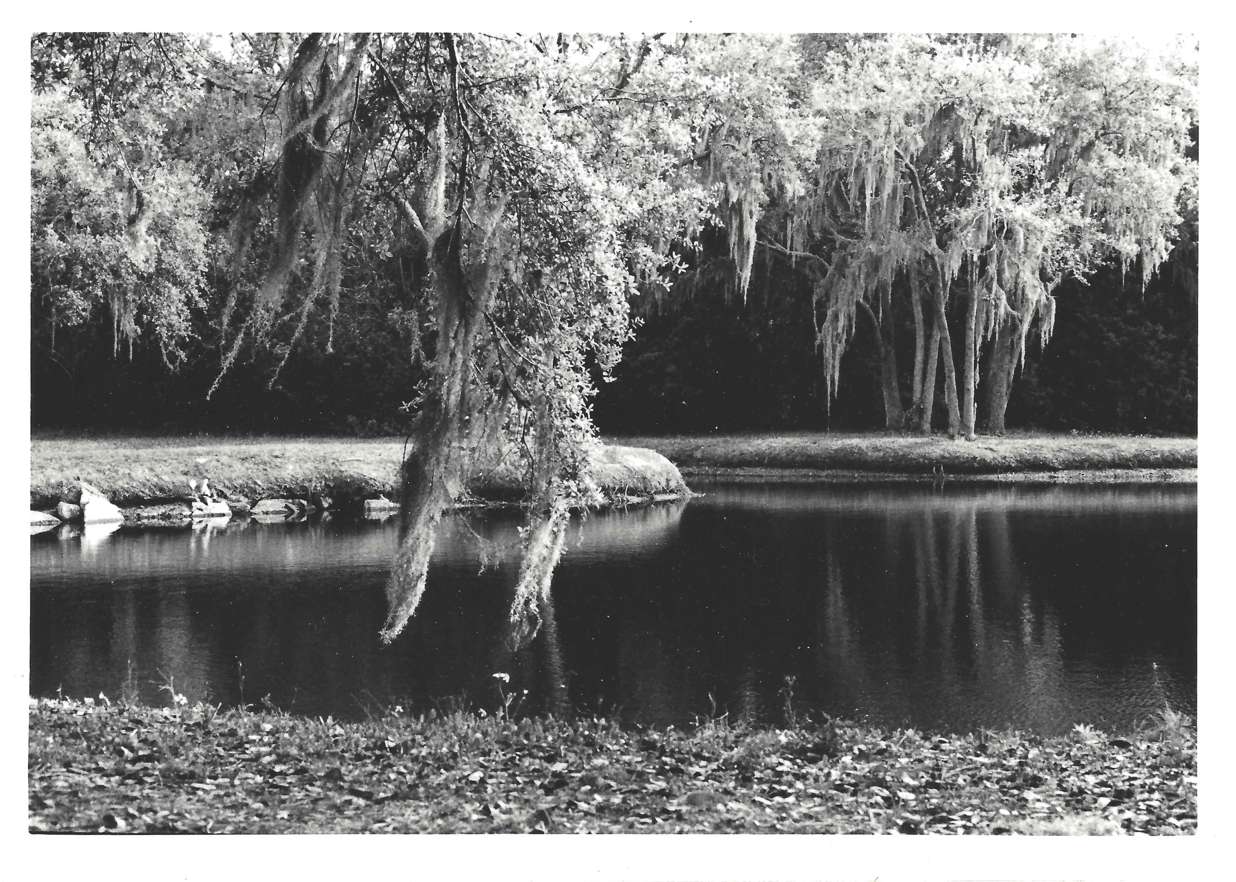 scan.jpg