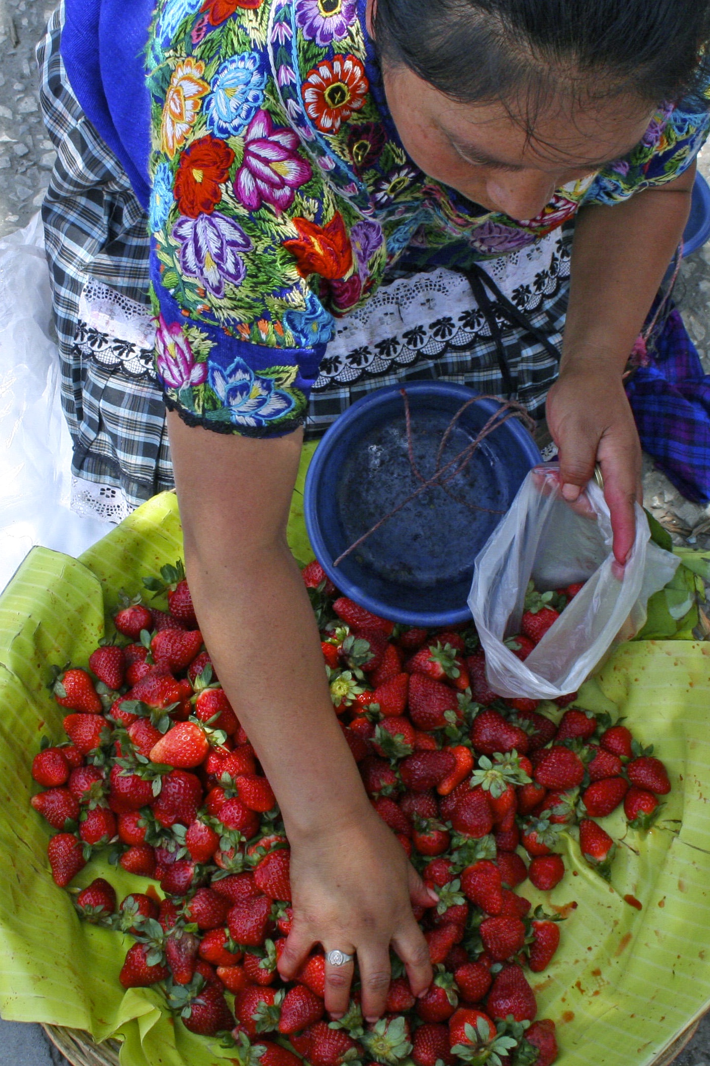 Guatemala Woman and Strawberries.jpg