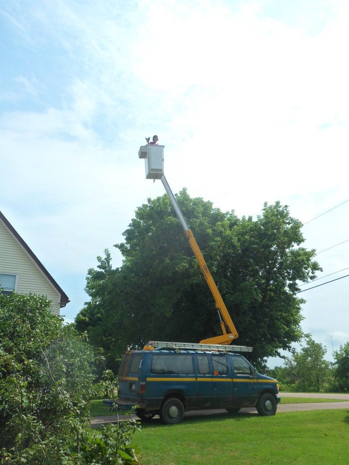 in the bucket truck!!! So excited...and slightly terrified. :)