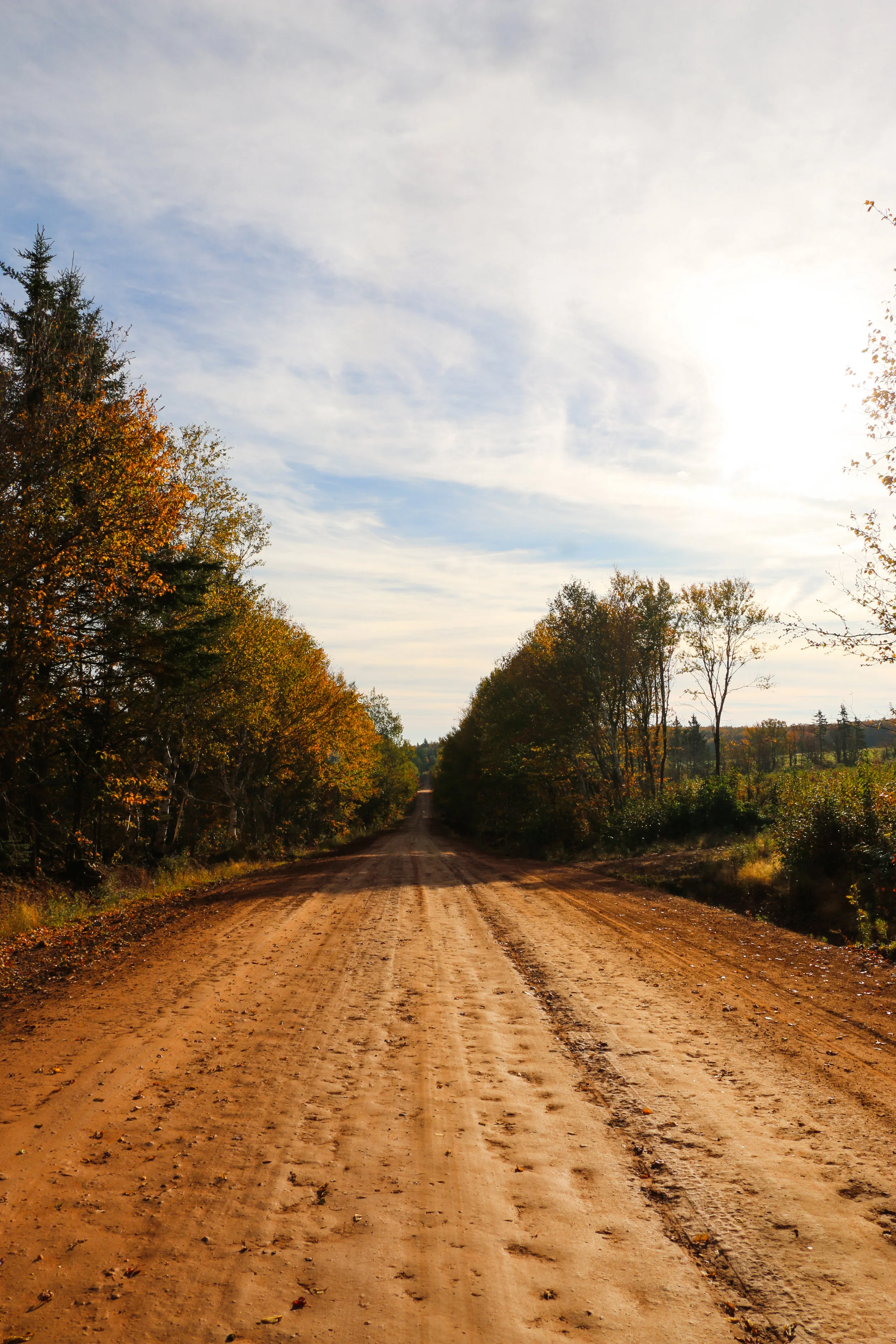 dirt road #1 of the day...i listen to myself well.