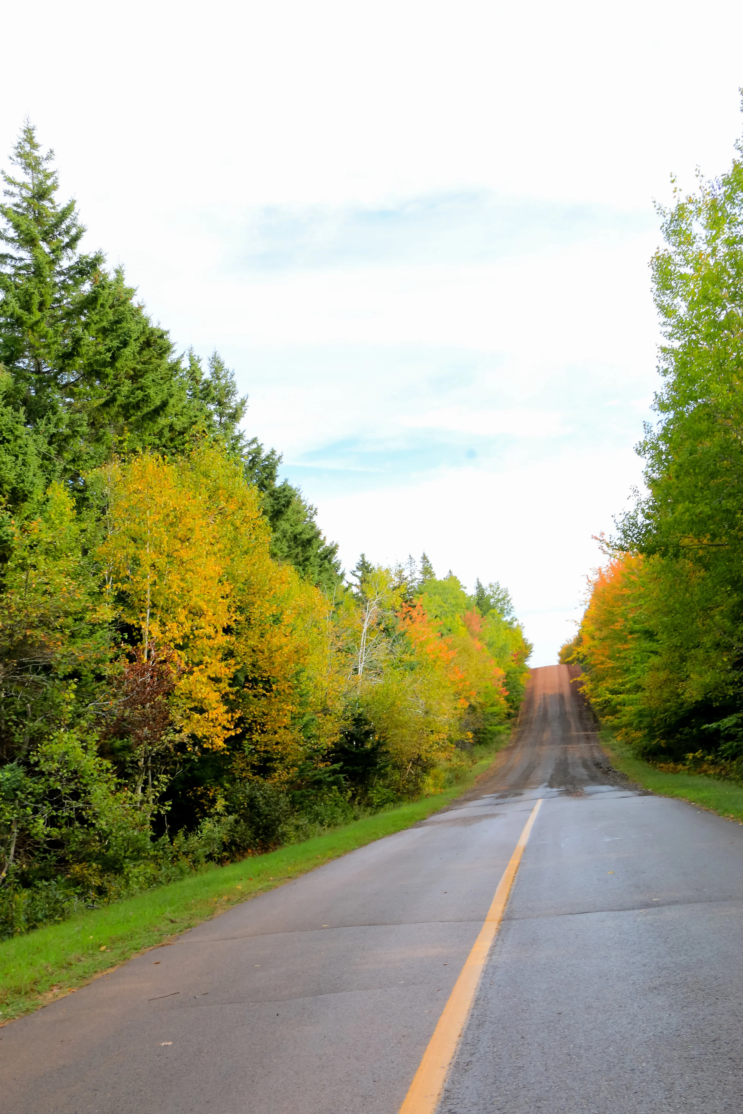 dirt road #2