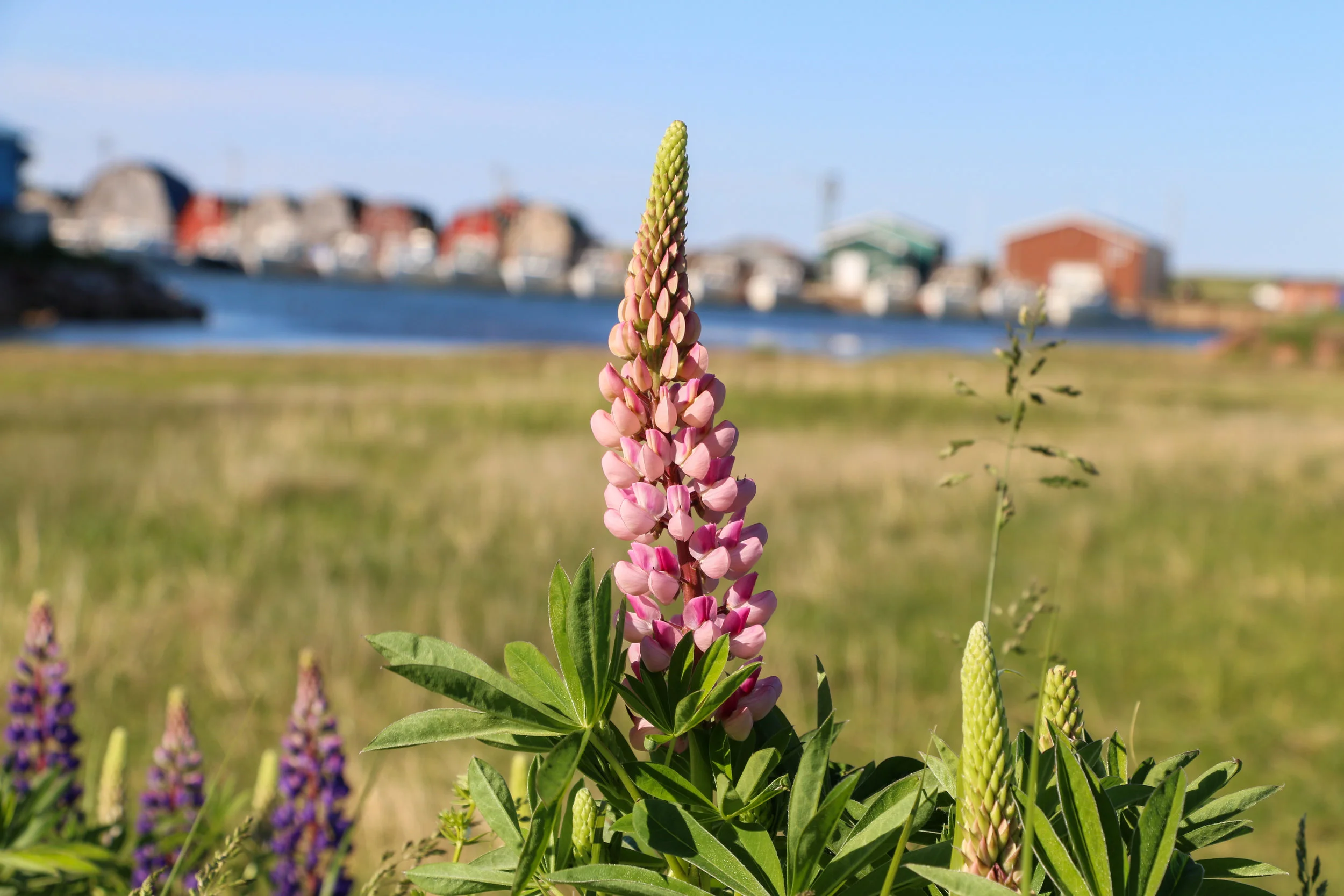friday 062-56.jpg