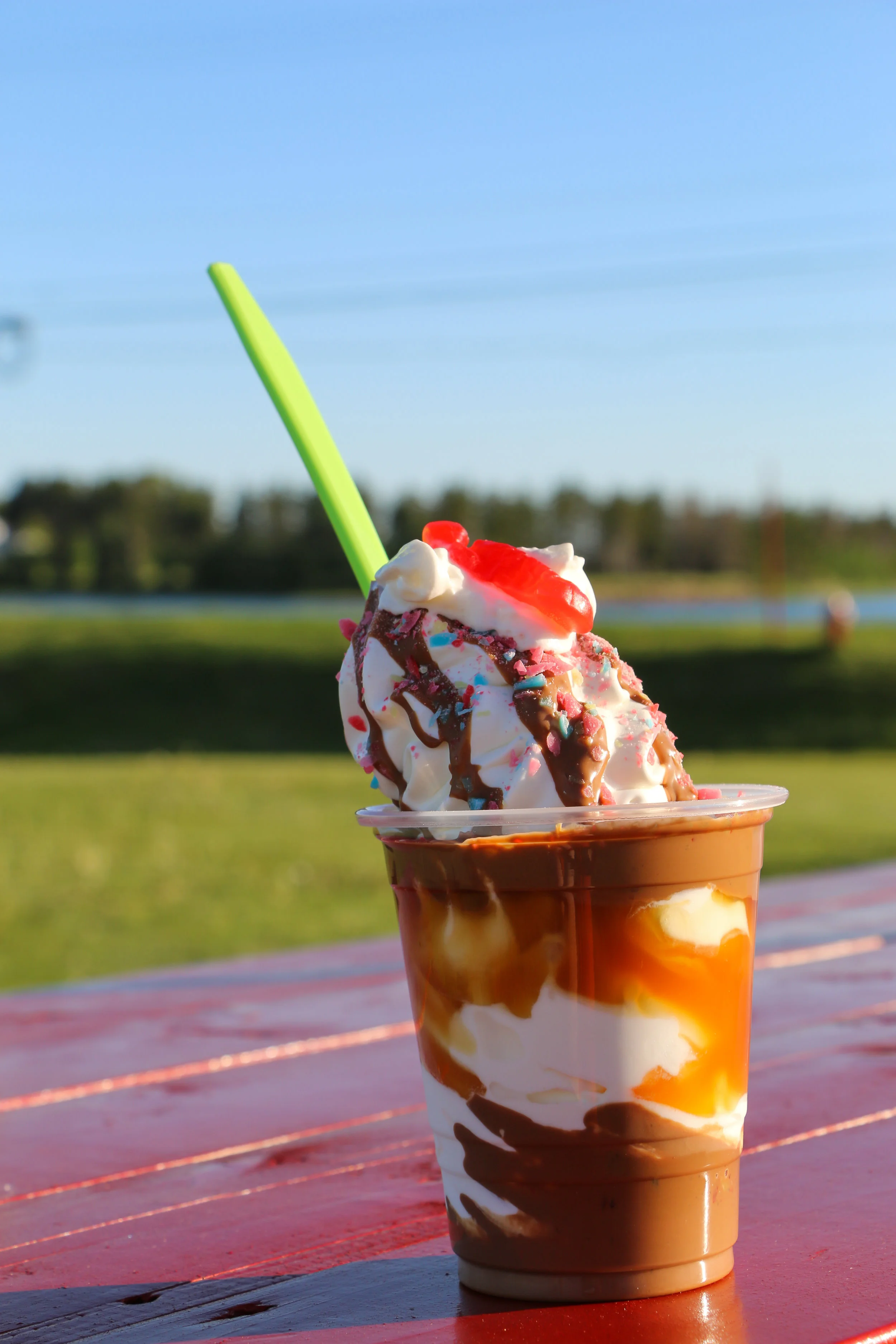 and yeah...I love ice cream...like...LOVE ice cream.