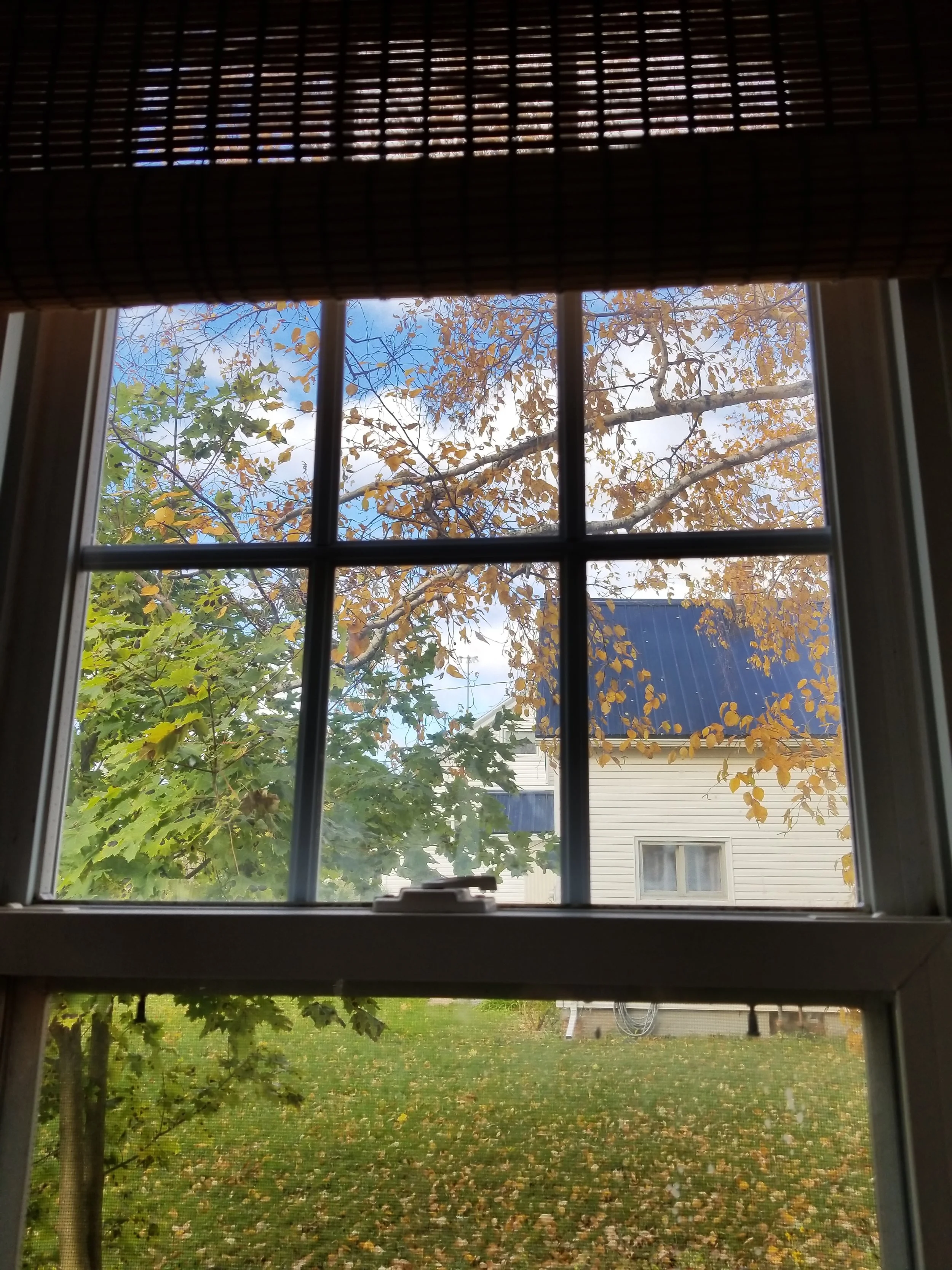 20181026_104740.jpg