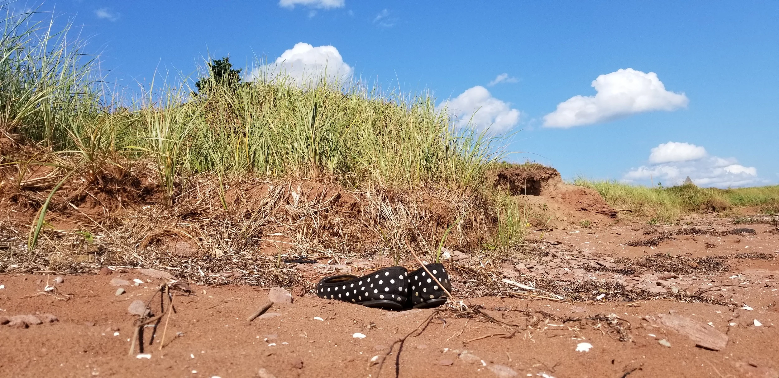 processed_20190804_160810.jpg