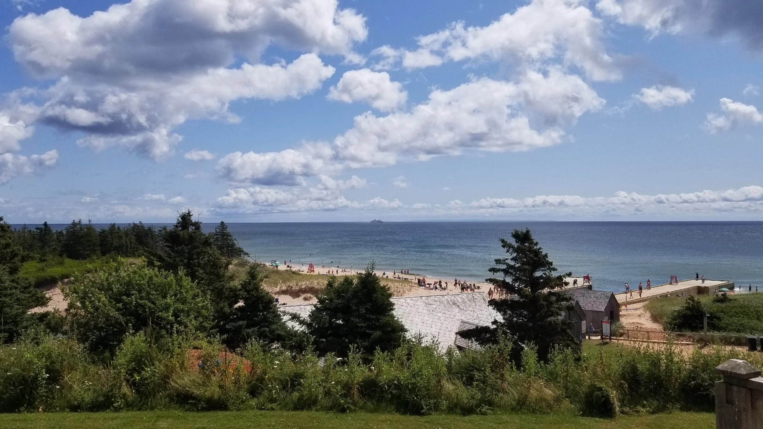 processed_20190805_121623.jpg