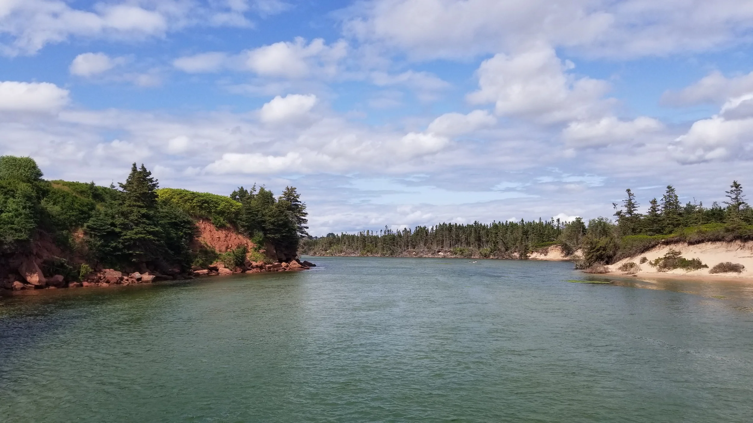 processed_20190805_150718.jpg