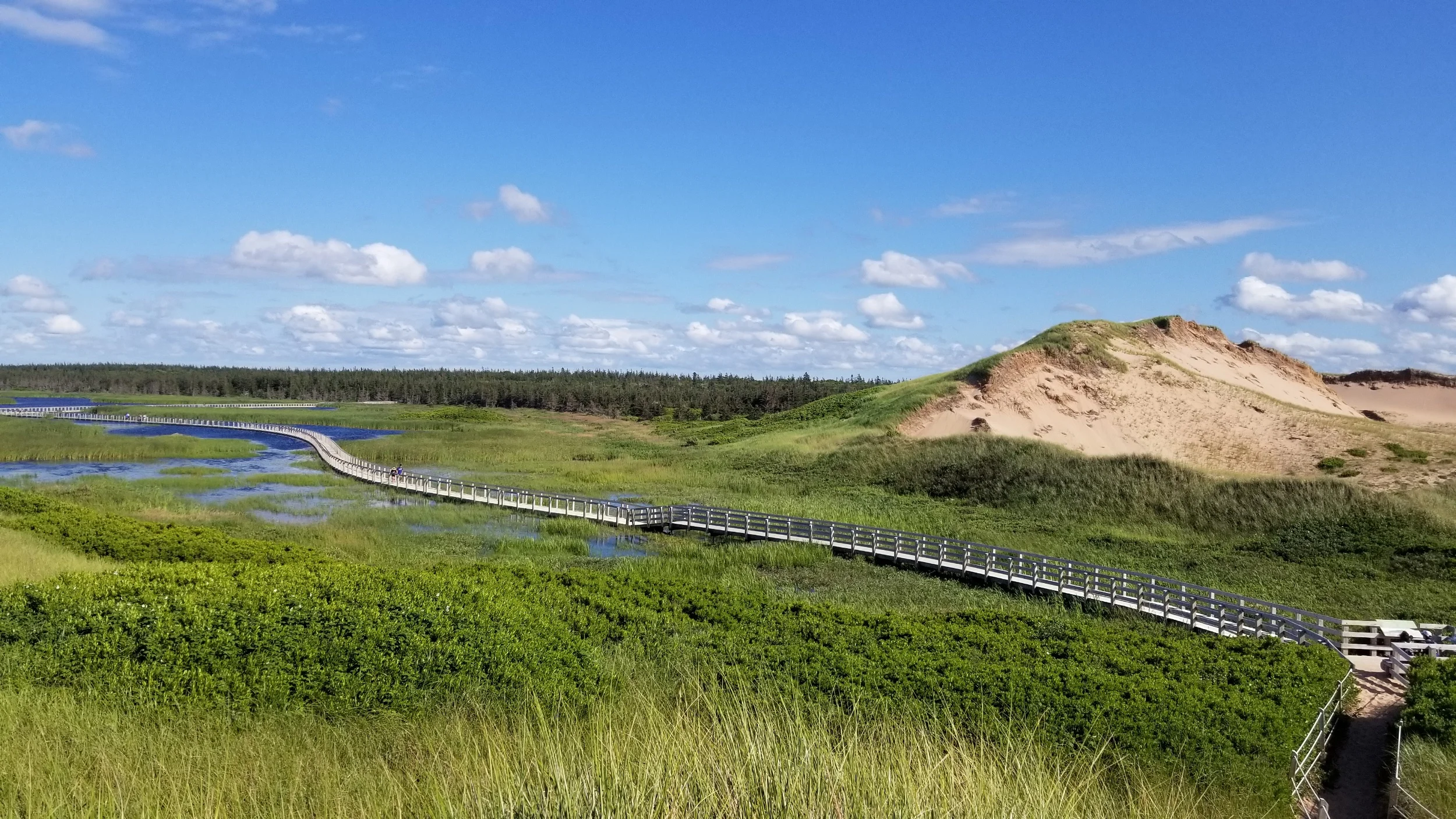 processed_20190805_165827.jpg