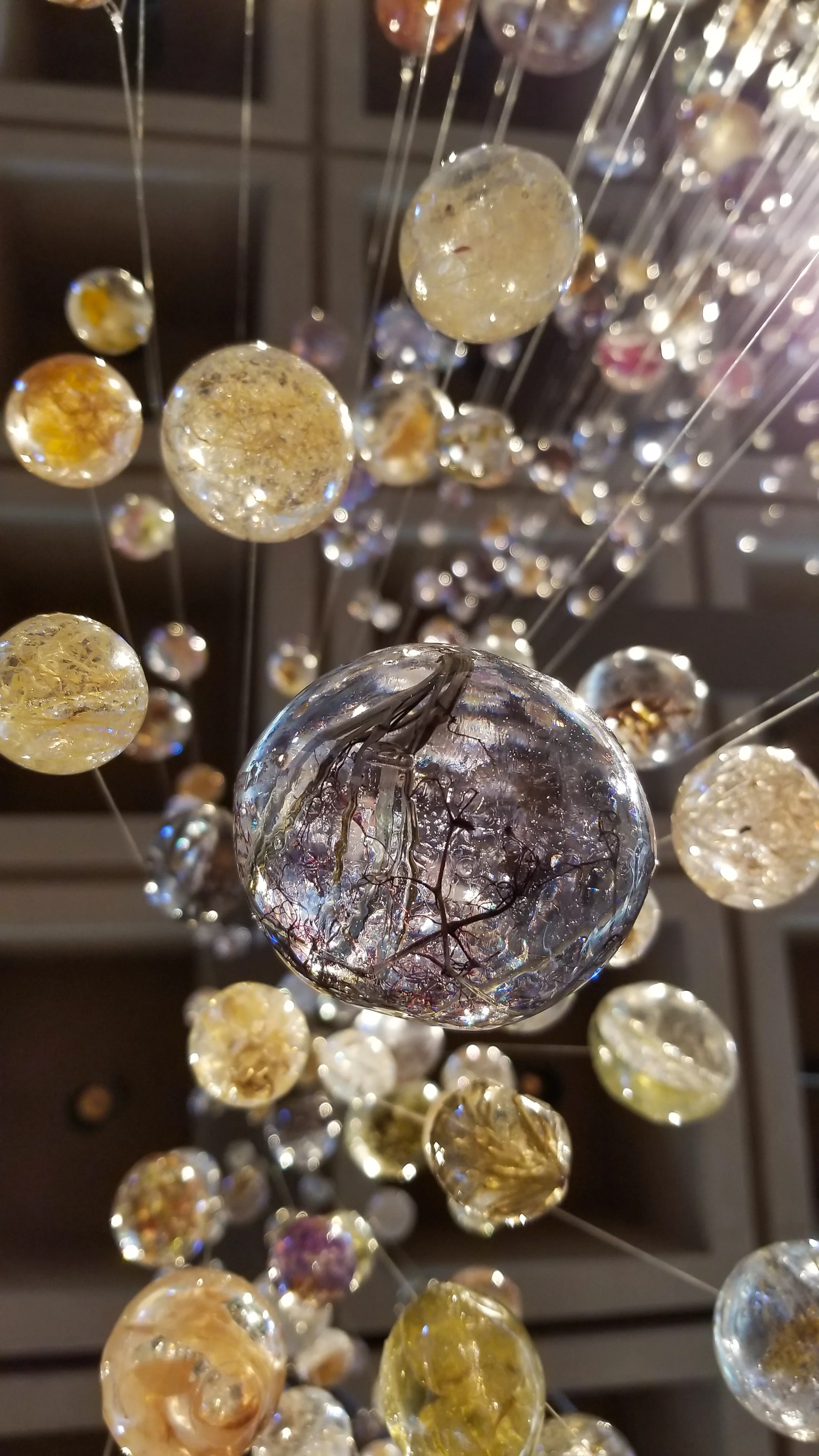 Copy of 20190825_124314-45.jpg