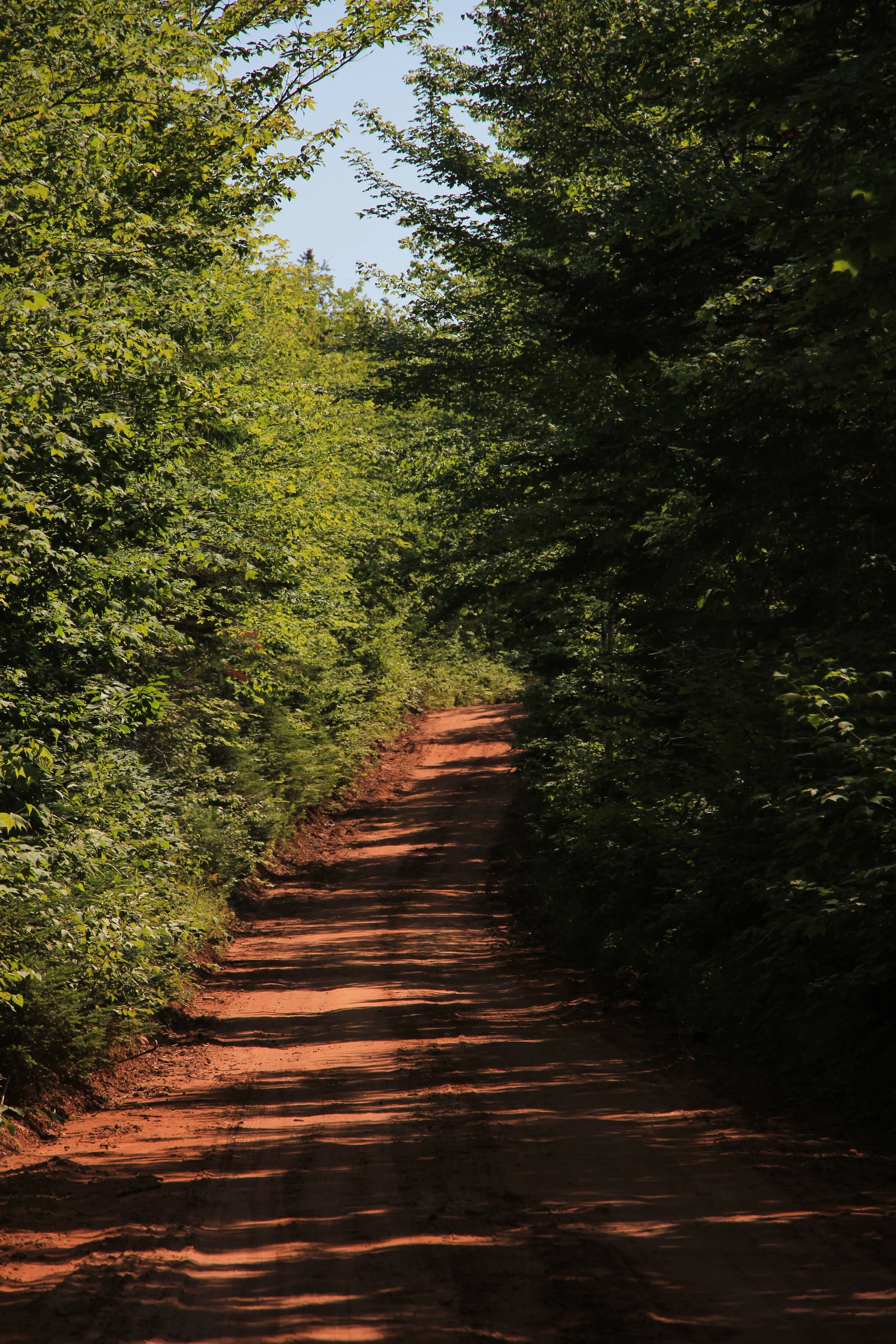 071-20.jpg