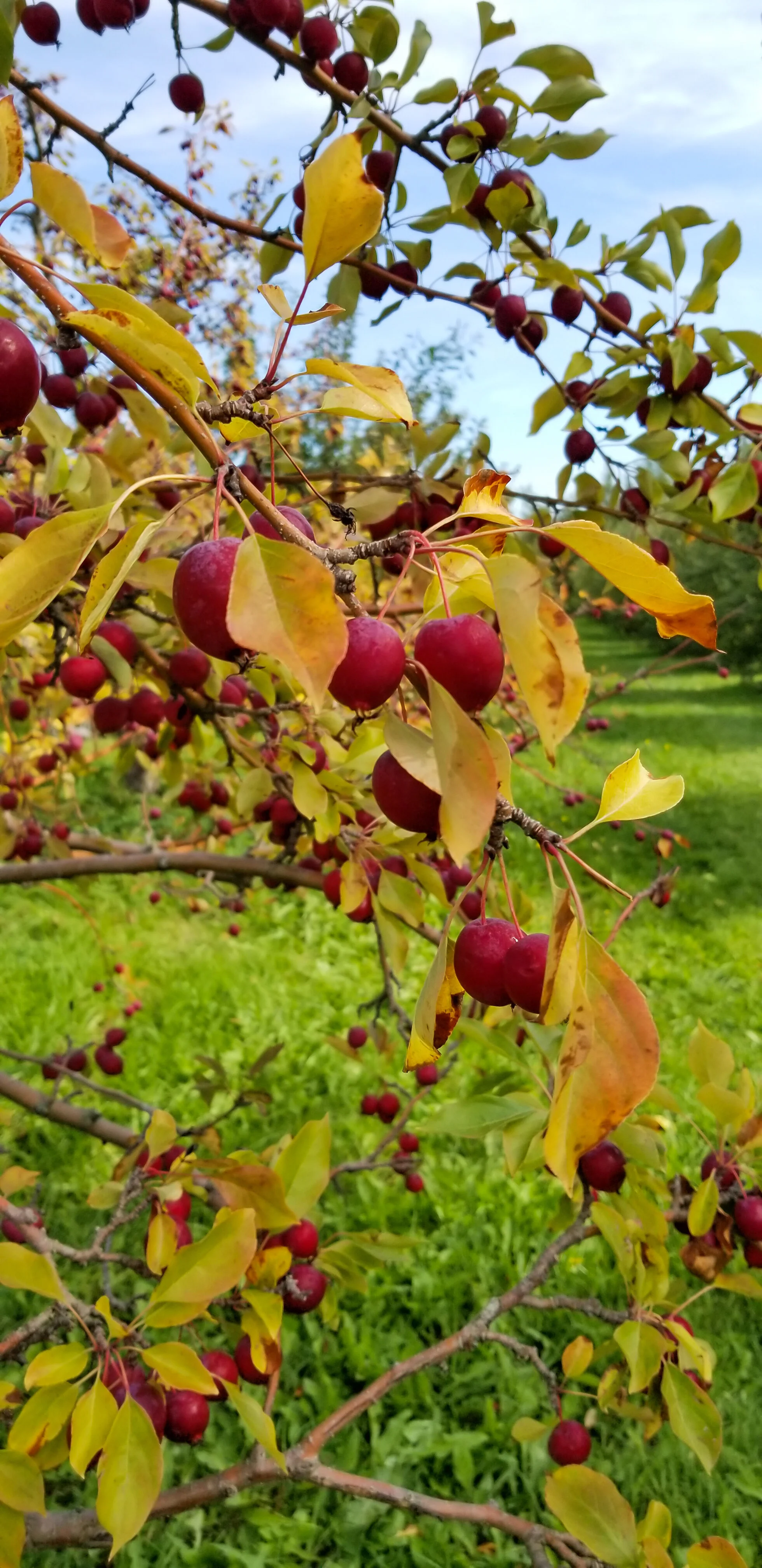 20191006_141812-2.jpg