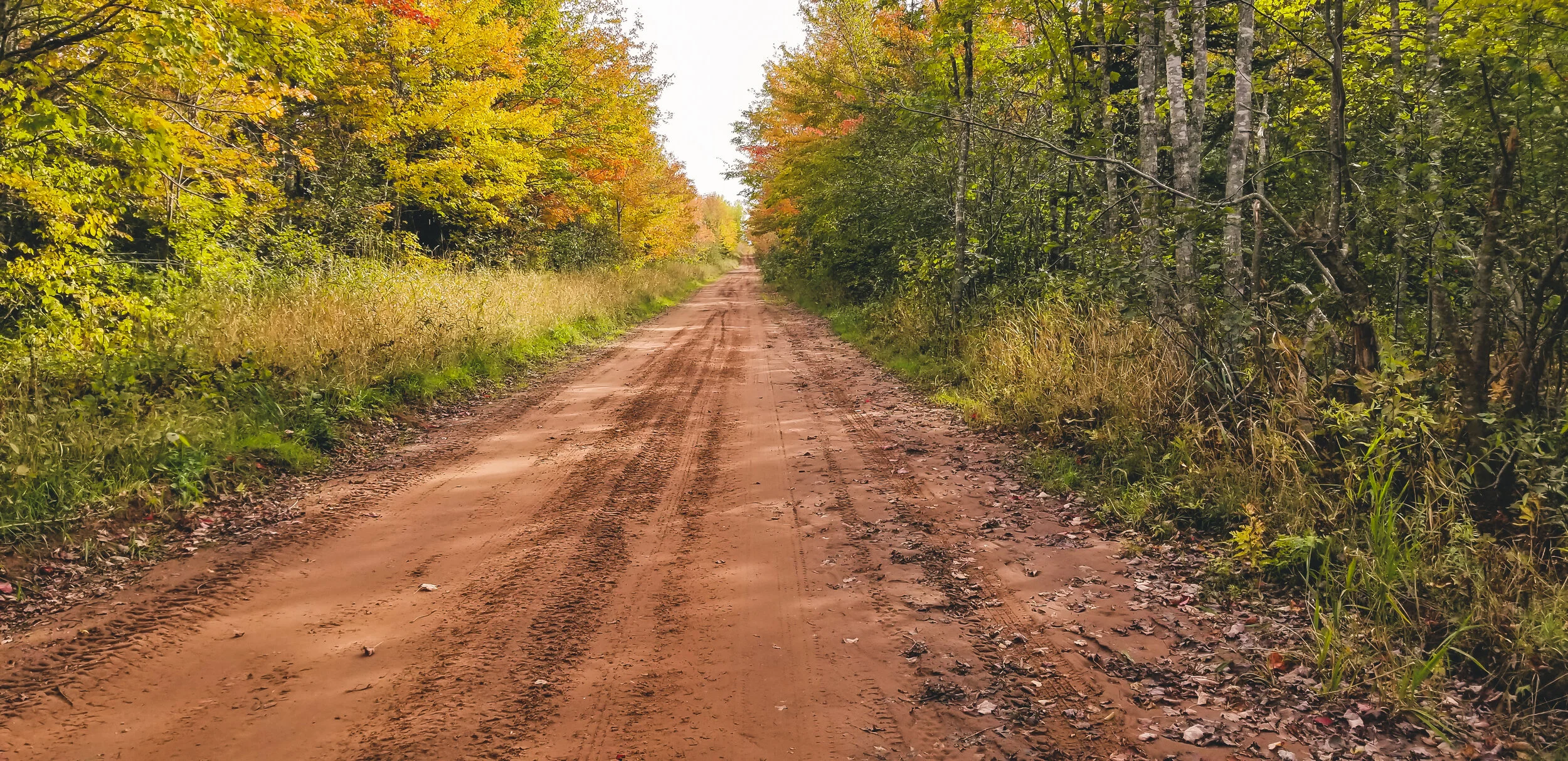 20191006_145548-5.jpg