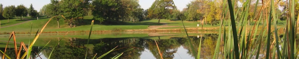 Banner 11 Lake Hi Res.jpg