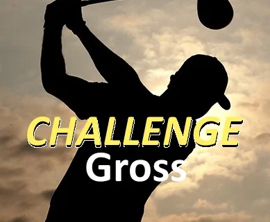 Logo Challenge Gross.jpg