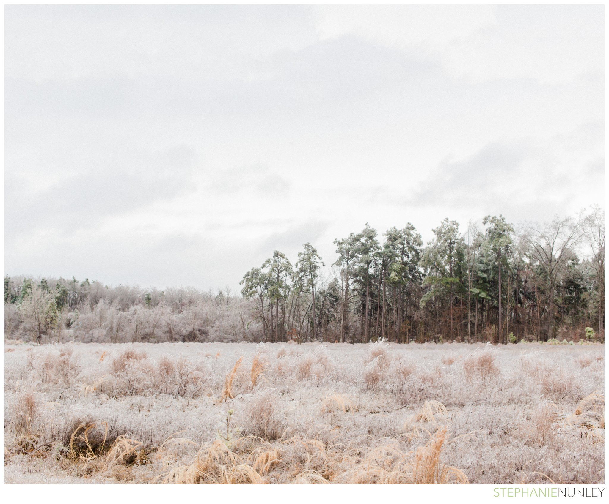 arkansas-winter-scenery-005.jpg
