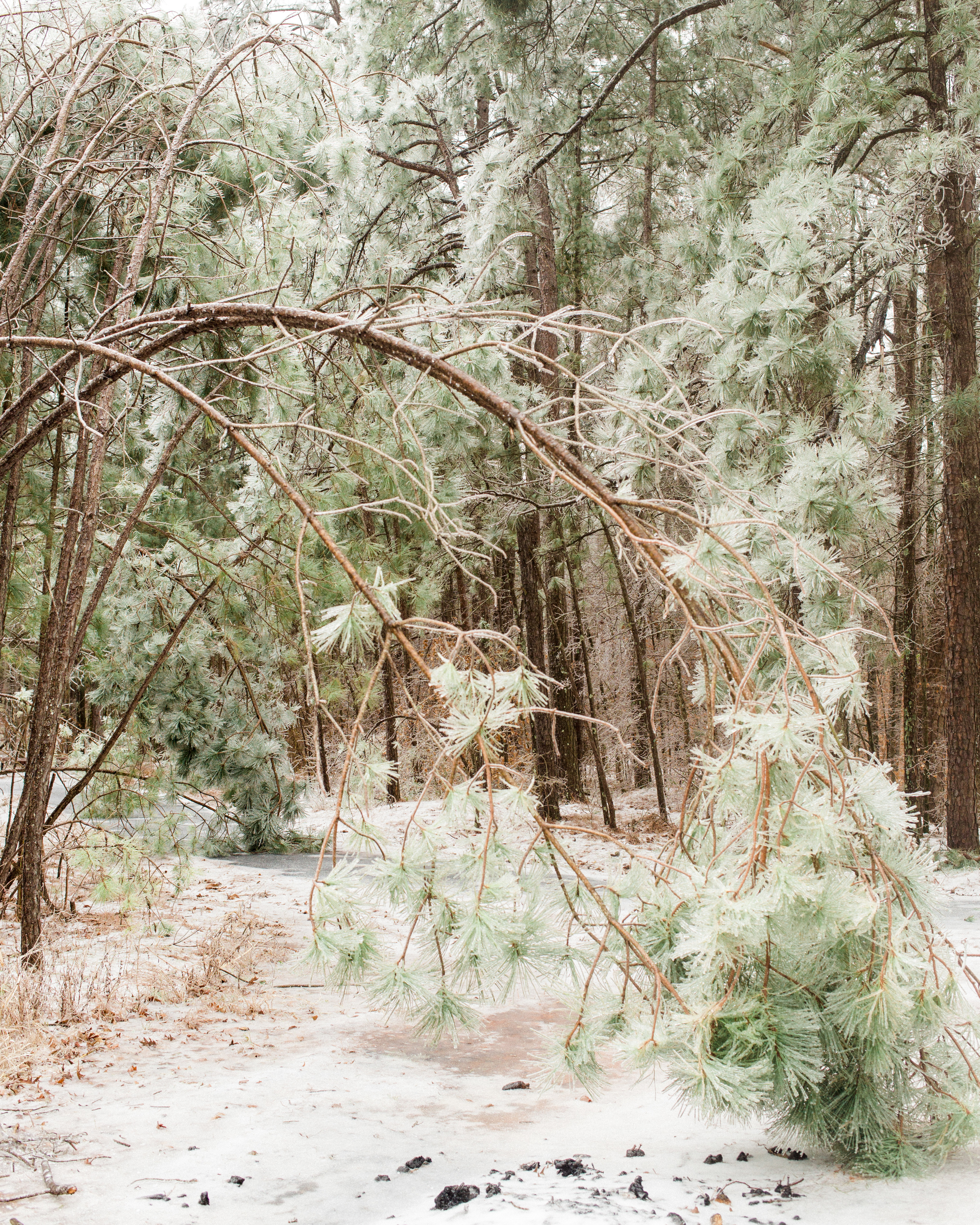 arkansas-winter-scenery-011.jpg