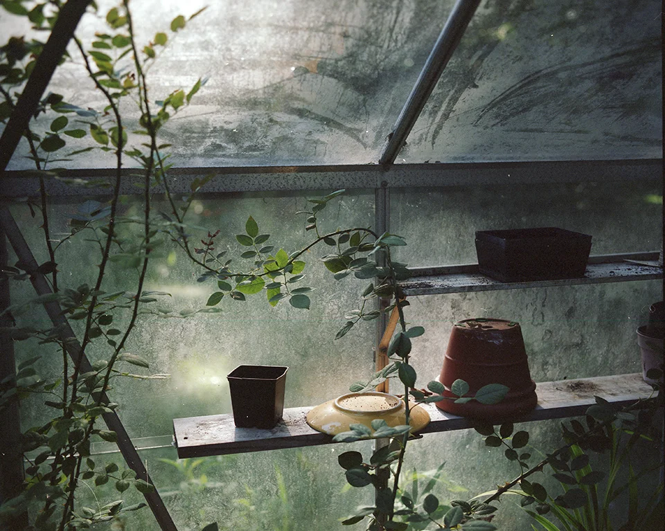 greenhouse.jpg