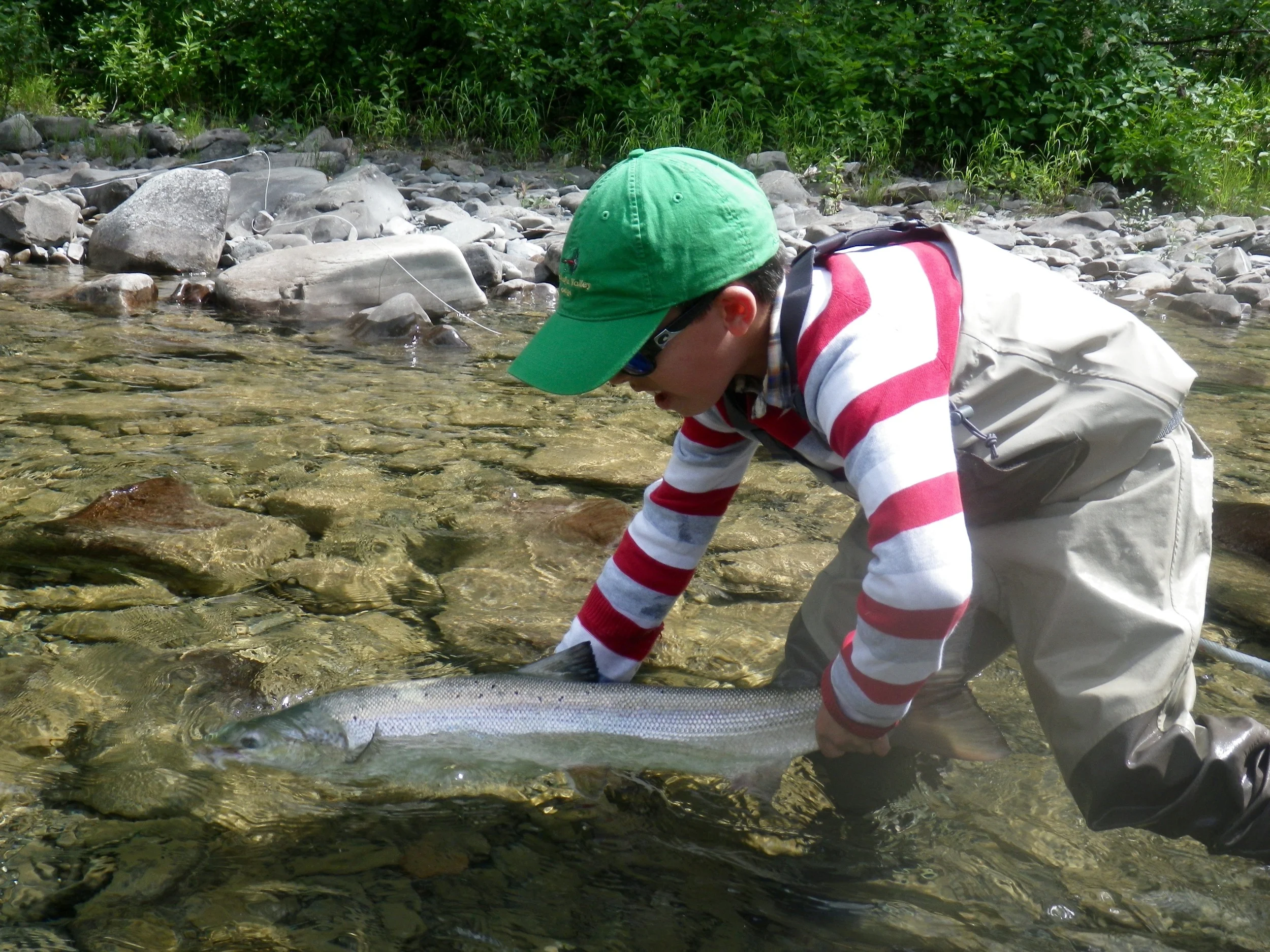 Ten year old Teo Panzer from Argentina plays his first salmon of 2015, this is Teo's second time to Camp Bonaventure. He casts better than many of our guests!