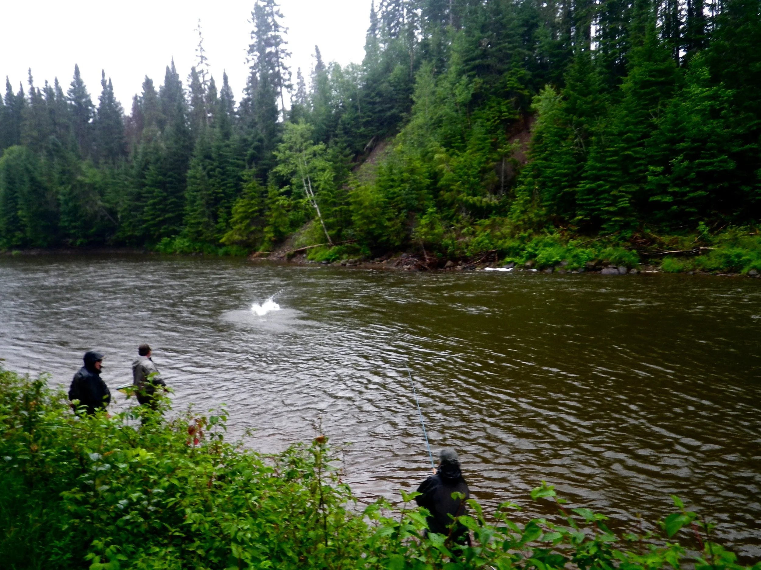 Big fish make a big splash! Unfortunately this monster got away!